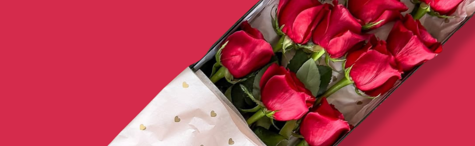 Perrotts Valentines Day 2026